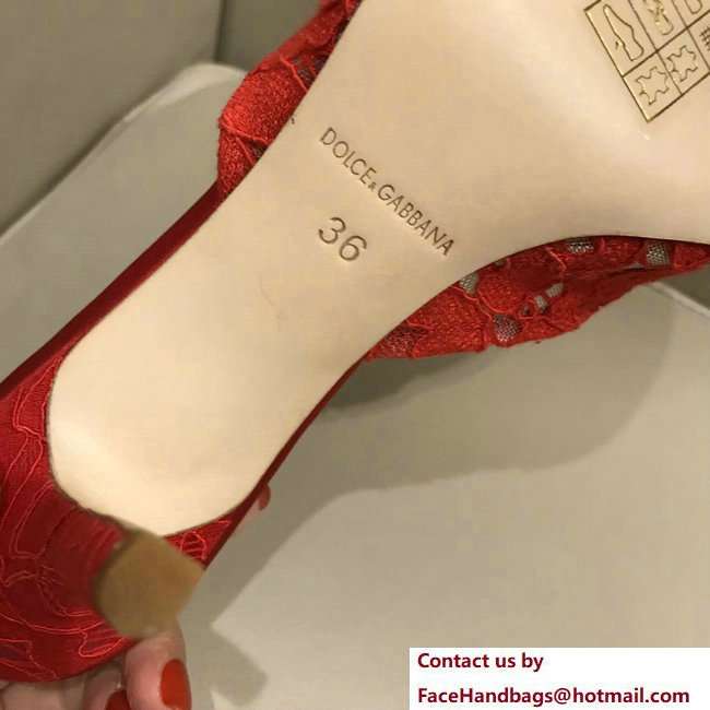 Dolce  &  Gabbana Heel 7cm Slippers Red In Lace With Crystals 2018